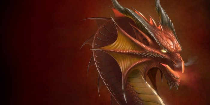 1280x1024 Harry Potter: Dragon Wallpaper