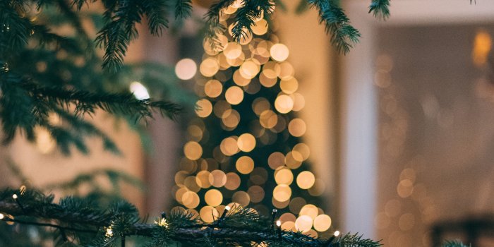 4009x6006 Christmas Wallpapers: Free HD Download [500+ HQ] | Unsplash