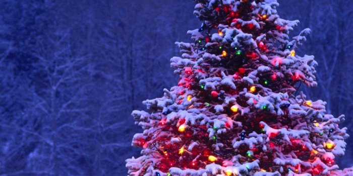 1024x1024 53 CHRISTMAS IPHONE WALLPAPERS TO DOWNLOAD WITHOUT COST