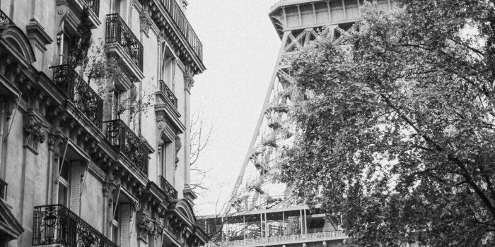 1520x2280 40 Stunning Black and White iPhone Wallpaper Backgrounds For Free |