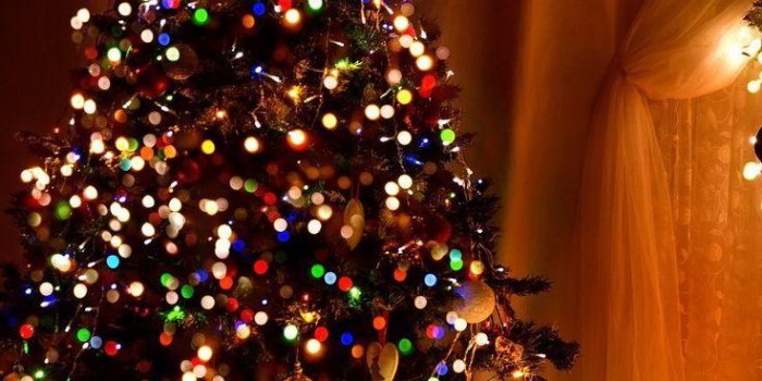 736x1308 Rustical Christmas Decorations Wallpapers