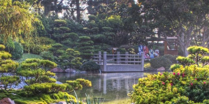 720x1280 Vegetation, Japan, Nature Reserve, Factory, Japanese - Garden Hd