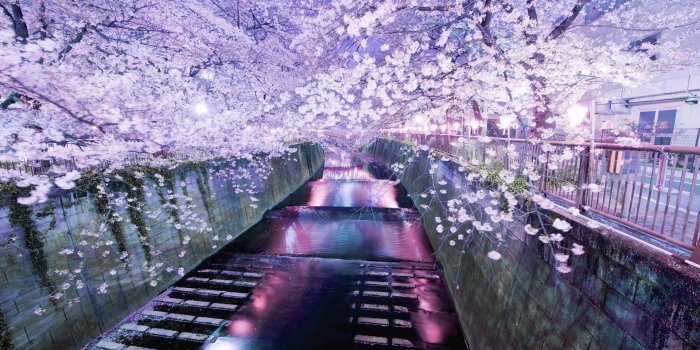 1920x1200 89+ Japanese Nature