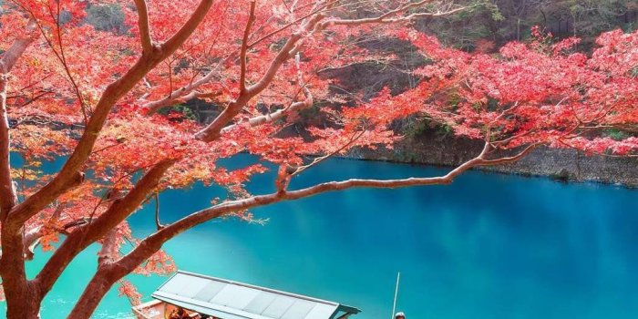 1024x1280 Japanese Nature Wallpapers posted by Ryan Sellers