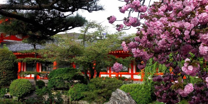 1920x1200 Picture rating | top ultra | Japanese nature