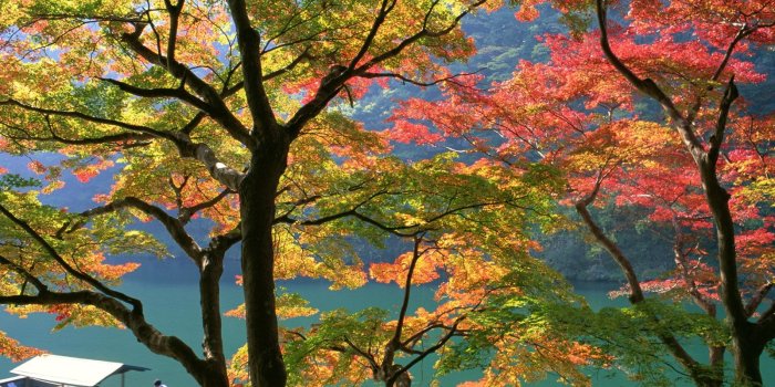 1600x1200 Download Free Japanese Nature Wallpapers - 3gp Wallpaper Download