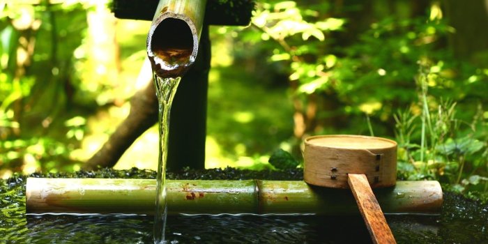 1920x1200 Water japan nature grass garden plants pipes wallpaper | 1920x1200