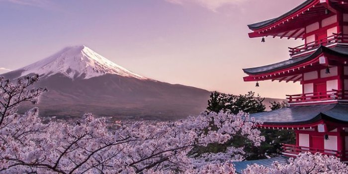 736x1104 Japanese Spirit | Jormungand | Japanese nature