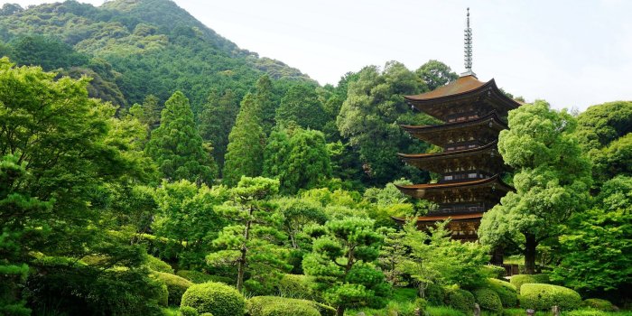 1920x1080 Download wallpaper 1920x1080 japan, yamaguchi, pond, trees full hd