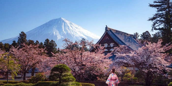 1332x850 Wallpaper mountain, Park, Japanese, nature, trees, the bushes