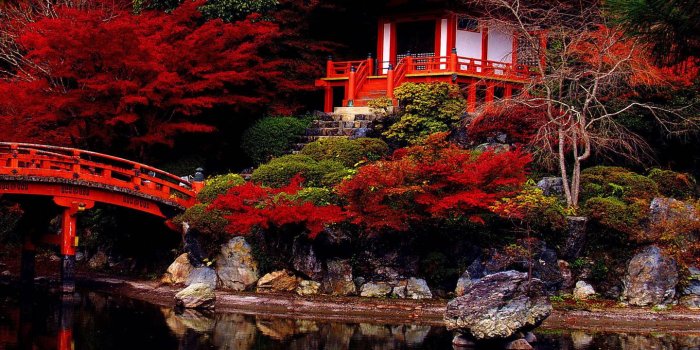 1440x1280 Japanese Garden wallpaper by JD_Bowers - 34 - Free on ZEDGE™