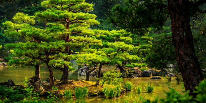 3840x2160 Water, Nature Reserve, Botanical Garden, Japanese Garden, - 4k