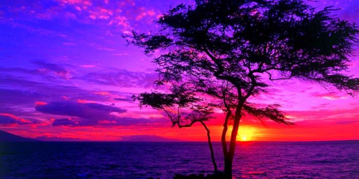 1920x1200 Beautiful Sunset Wallpaper ·① WallpaperTag