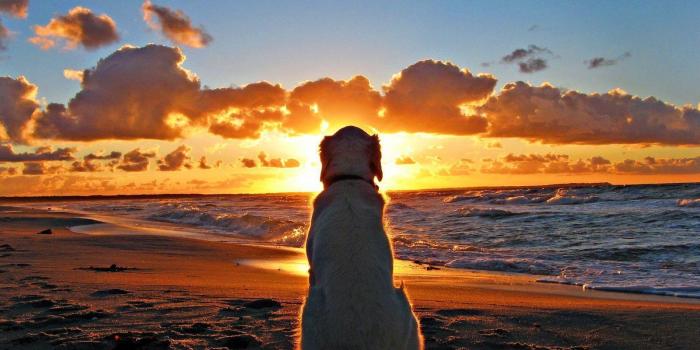 1600x1200 Sunset Beaches Wallpapers