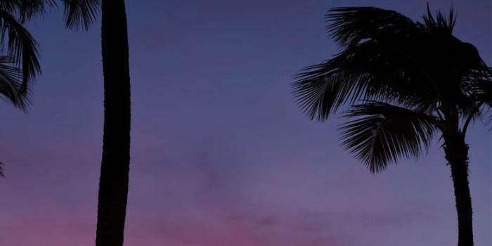 777x1437 Beautiful sunset sky iPhone wallpaper, Beach ipone wallpapers