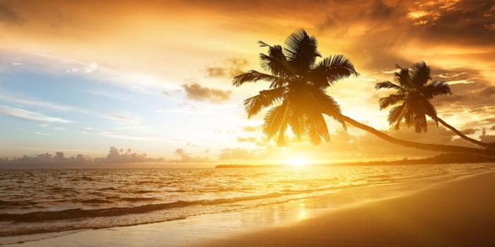 2560x1600 Beautiful Sunset Wallpaper 12434 #6945605