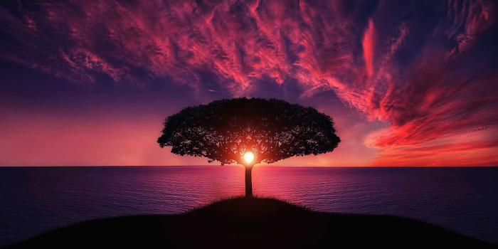 1920x1080 Amazing Sunset Wallpapers | HD Wallpapers