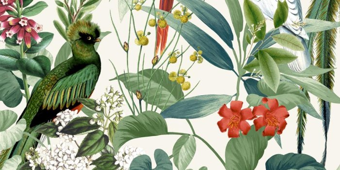 1000x1000 Jungle Birds Wallpaper Tropical Parrots Floral Tree Green White