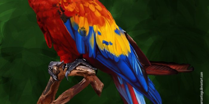 1600x1200 Colorful Parrots Wallpapers Wallpaper. Desktop Background