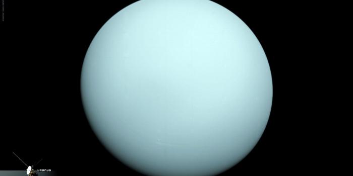 1920x1200 uranus space planet hd widescreen wallpaper / planets backgrounds