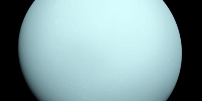 1920x1200 Space Images | Uranus as seen by NASA's Voyager 2