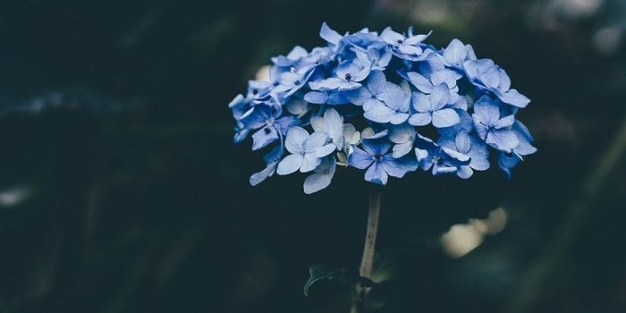 1024x1820 Love And Career Quotes - 1024x1820 Wallpaper - Ecopetit.cat