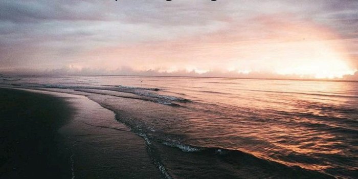 736x1104 Korean Quotes Wallpapers - Top Free Korean Quotes Backgrounds