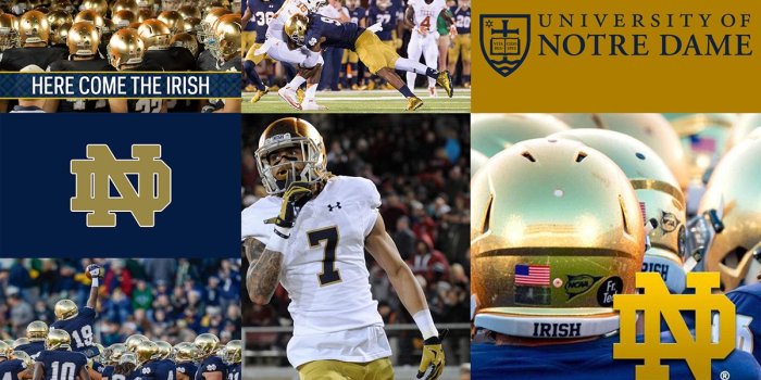 1200x675 Notre Dame on Behance