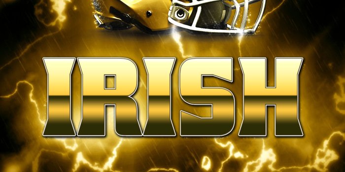 1440x2560 74+ Notre Dame Wallpapers on WallpaperPlay