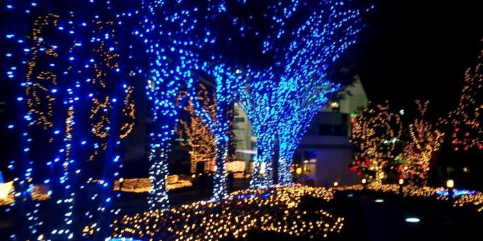 1280x720 Beautiful, Christmas, Blue, Light, Wallpaper, Photos, For, Desktop