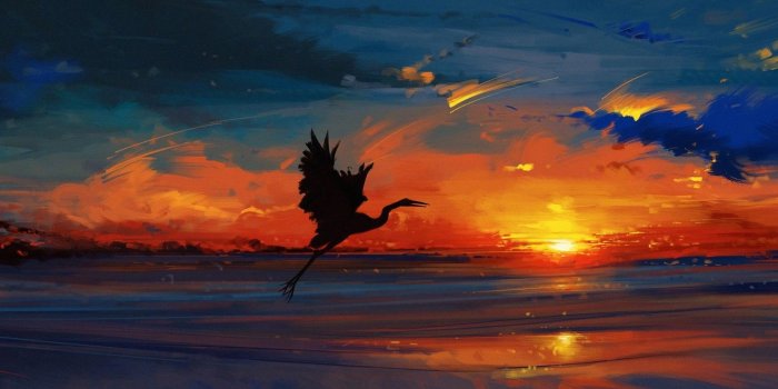 1332x850 Wallpaper sky, sea, landscape, nature, bird, sunset, water, art