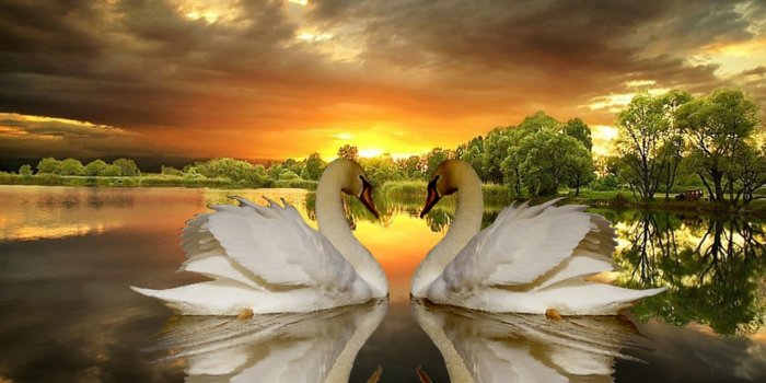 1920x1200 1920x1200 Evening Sun Of Love desktop PC and Mac wallpaper