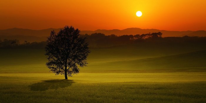 1920x1200 28+] Evening Sunset Wallpapers on WallpaperSafari