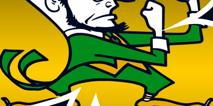 1440x2560 Notre Dame Wallpaper Iphone/android Screen Resolution - Logo