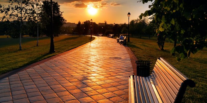 2560x1600 Evening Sun Reflection on a Park Alley #4243387, 2560x1600 | All