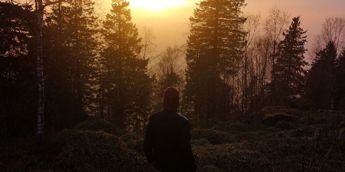 910x1213 HD wallpaper: Standing Man Near Trees during Sunset, environment