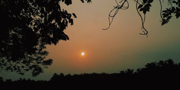 960x1280 Evening sun wallpaper by Fayism6 - 6e - Free on ZEDGE™