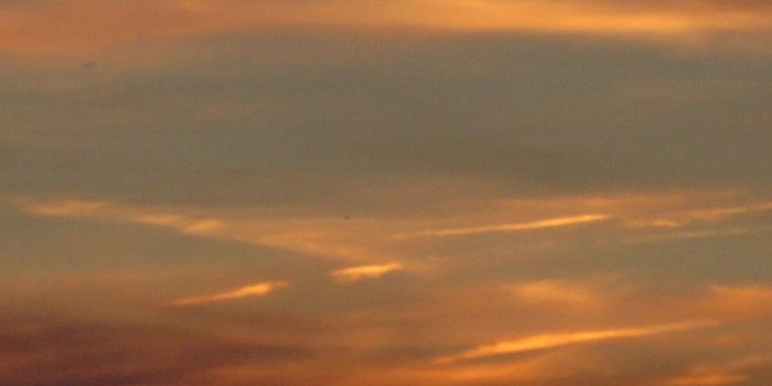 1440x2560 Hd Evening Orange Bird Sky Samsung Galaxy Note 4 Wallpapers - Good