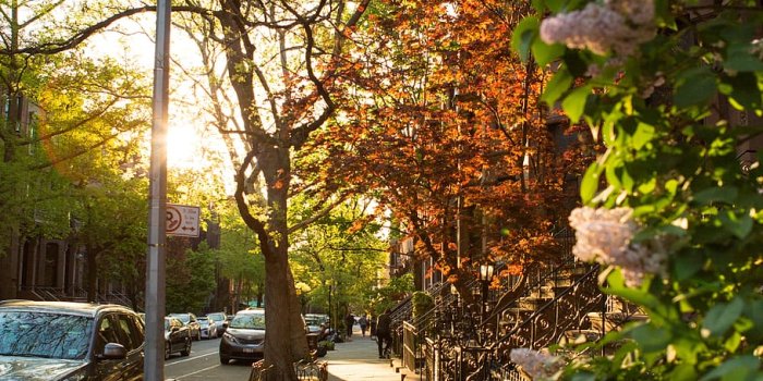 910x1365 HD wallpaper: city, street, evening, sun, city street, building