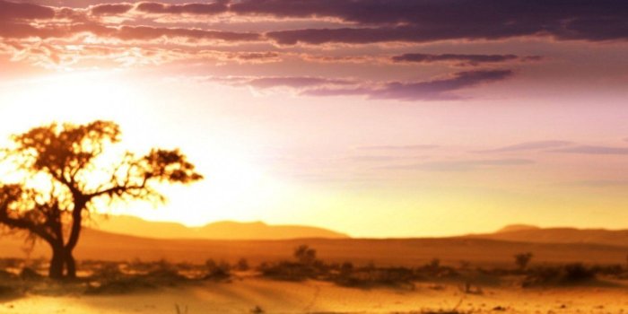 1200x1600 Africa Lake evening sun light mobile wallpaper | Mobile wallpaper