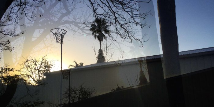 3264x2448 Backyard, Evening Sun, Photo Editing, Tree Wallpaper