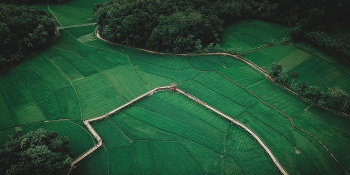 3968x2645 Aerial photography of land, landscape, aerial view, farm, trees HD