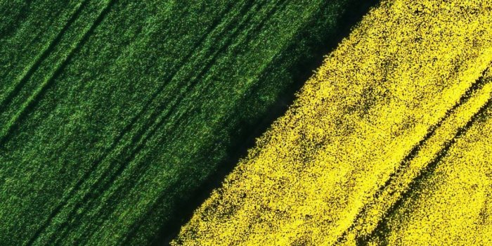 1080x1920 Farms, aerial view, landscape, green and yellow, 1080x1920