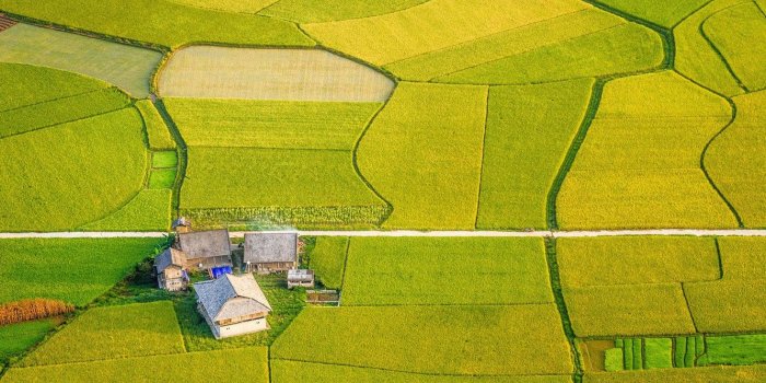 1332x850 Wallpaper field, the view from the top, farm, Vietnam, Aerial view
