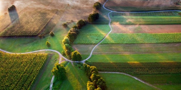 1920x1200 4563834 #road, #field, #landscape, #mist, #nature, #trees, #sea