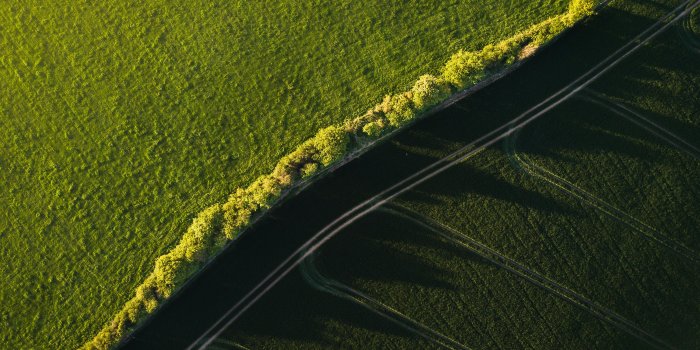 3594x2694 5331603 3594x2694 #tree, #sunlight, #pasture, #sunrise, #grass
