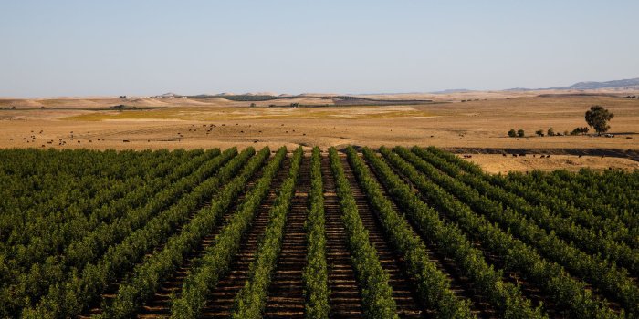 2048x1365 Eyes in the Sky Help Farmers on the Ground - The New York Times