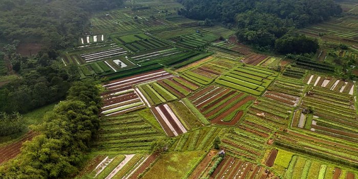 910x940 HD wallpaper: Aerial Photography of Green Fields and Trees Under