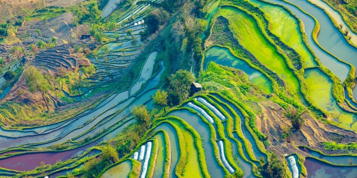 3840x2400 Download wallpapers Yuanyang County, 4k, farm, aerial view, rice