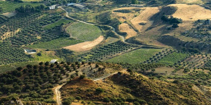 2048x2048 ni47-land-green-farm-nature-love-wallpaper